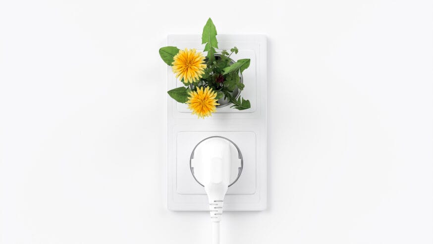 Enchufe con flores amarillas, simulación de eficiencia energética y sostenibilidad